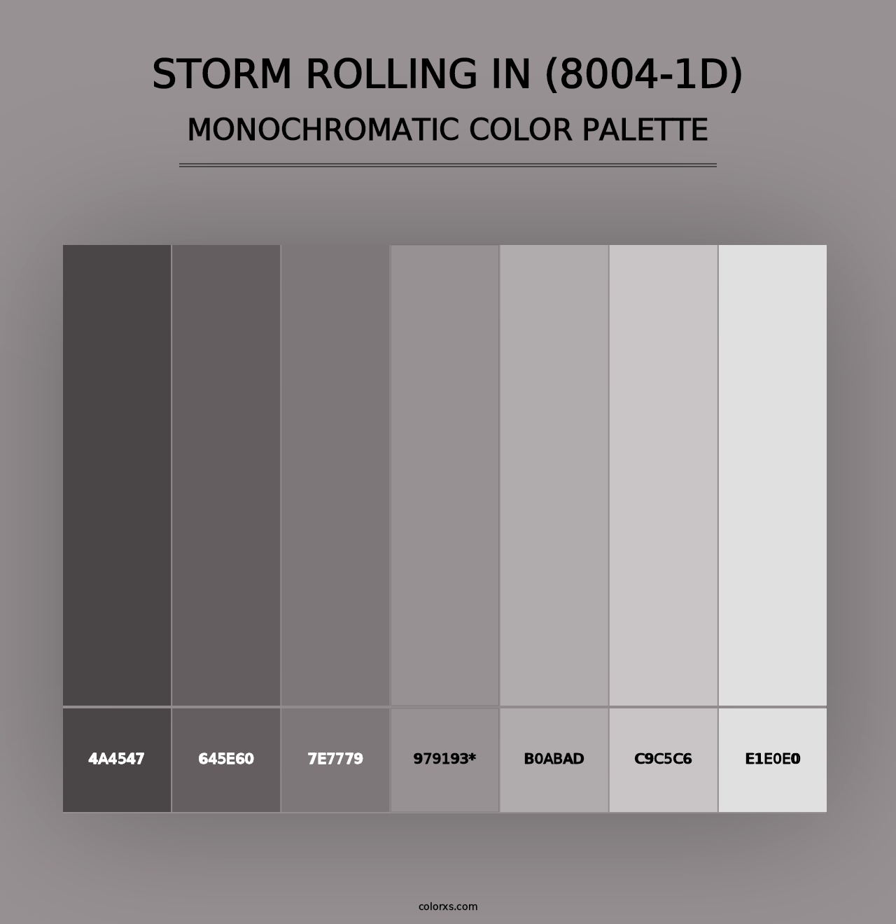 Storm Rolling In (8004-1D) - Monochromatic Color Palette