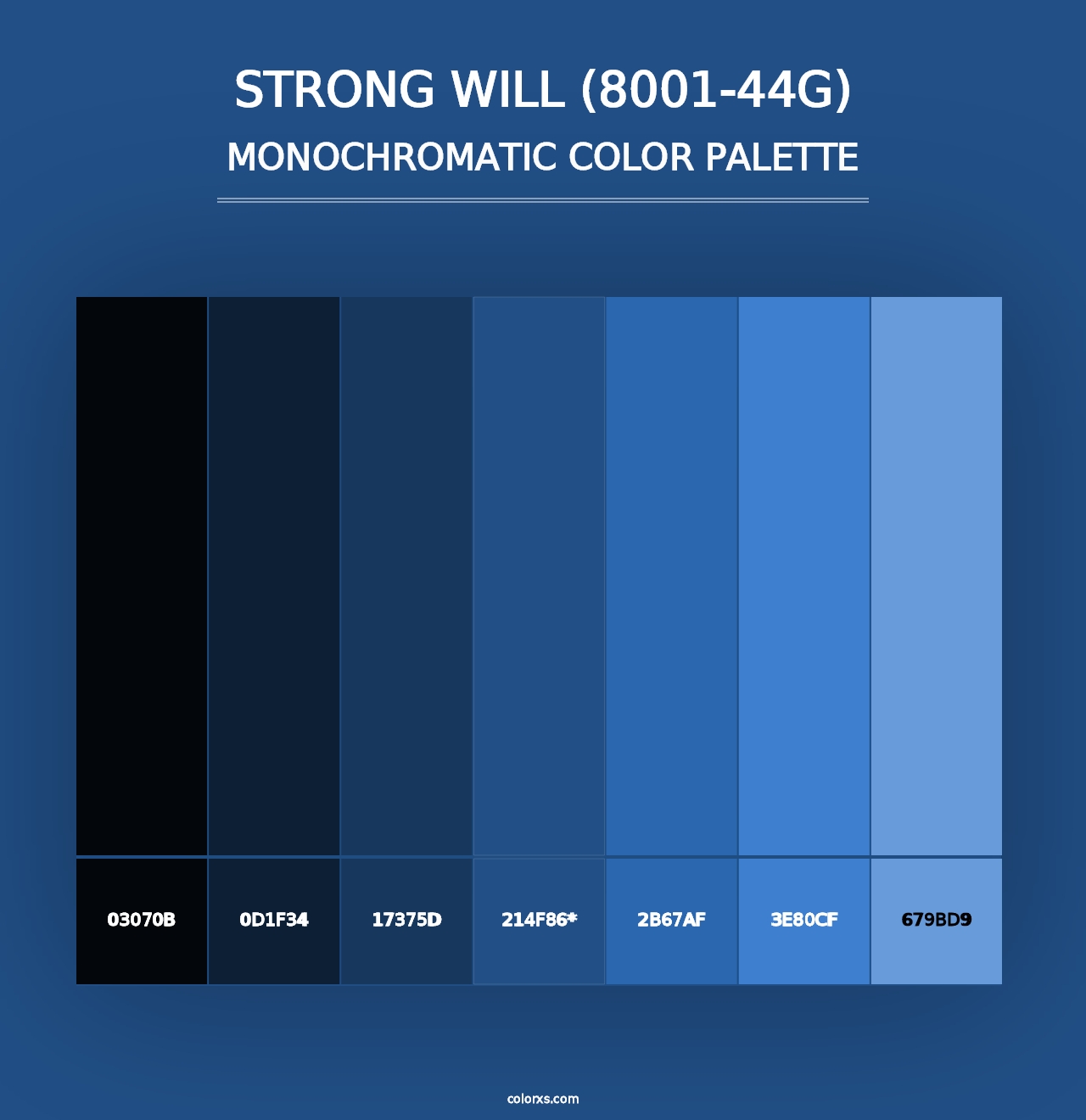 Strong Will (8001-44G) - Monochromatic Color Palette