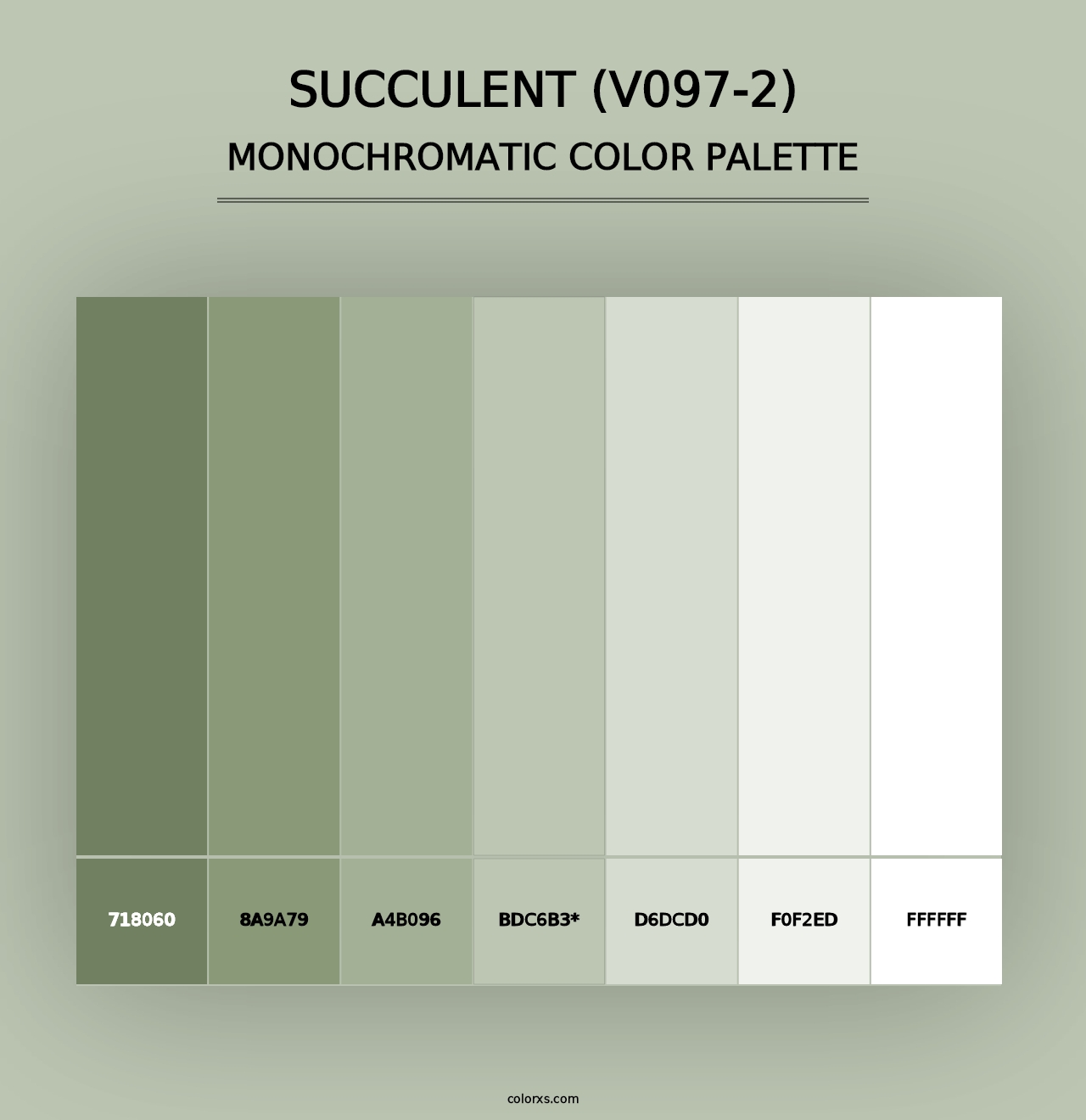 Succulent (V097-2) - Monochromatic Color Palette