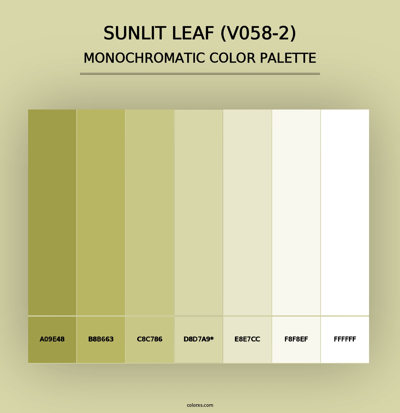 Sunlit Leaf (V058-2) - Monochromatic Color Palette