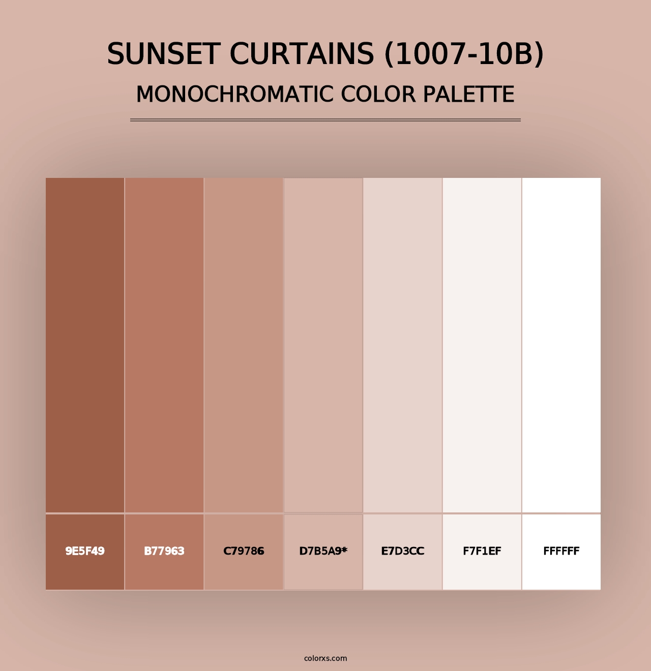 Sunset Curtains (1007-10B) - Monochromatic Color Palette