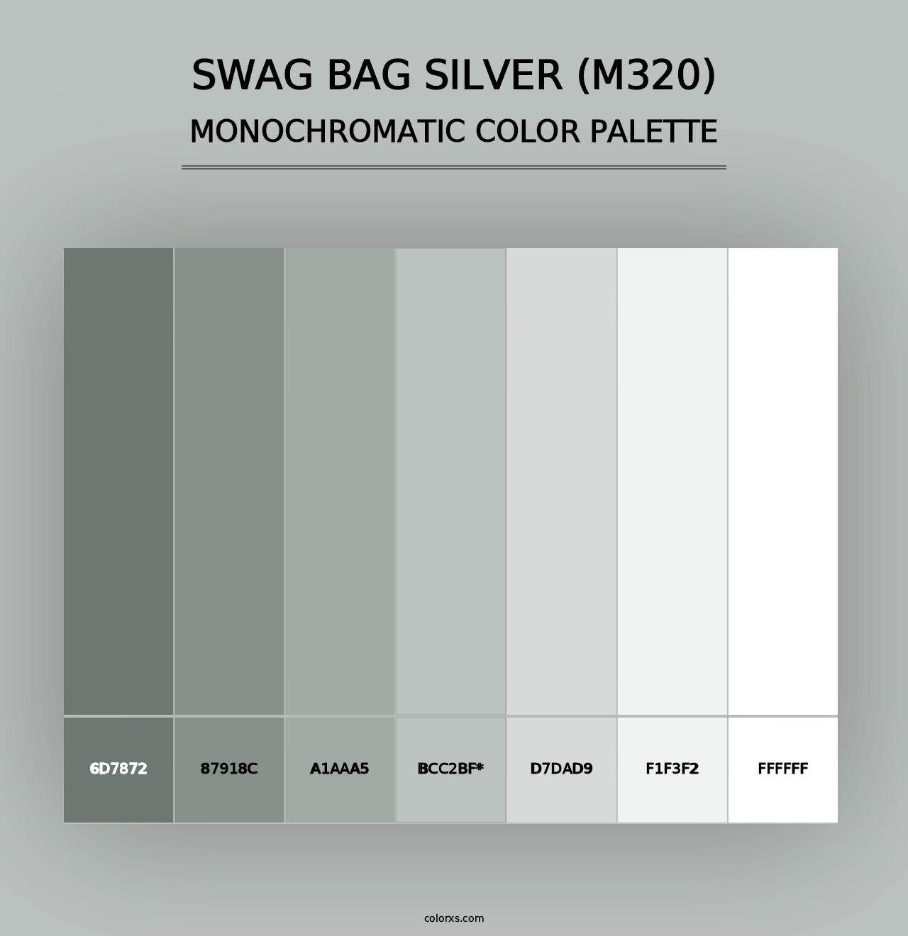 Swag Bag Silver (M320) - Monochromatic Color Palette