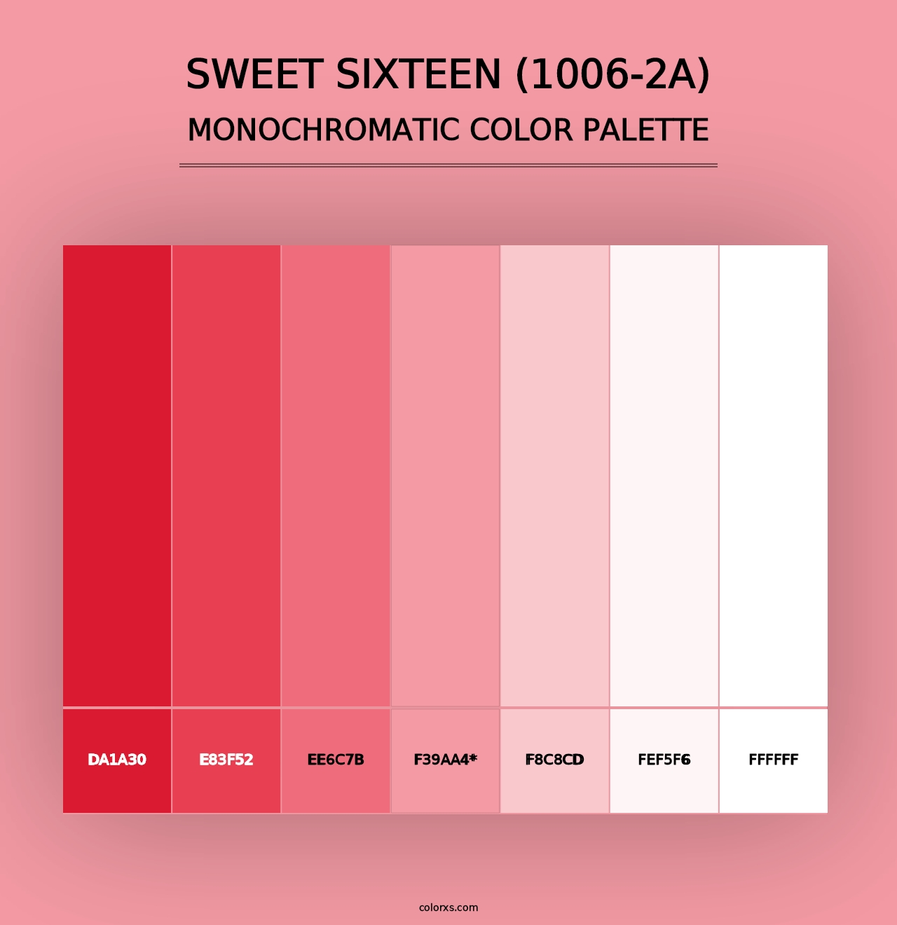 Sweet Sixteen (1006-2A) - Monochromatic Color Palette