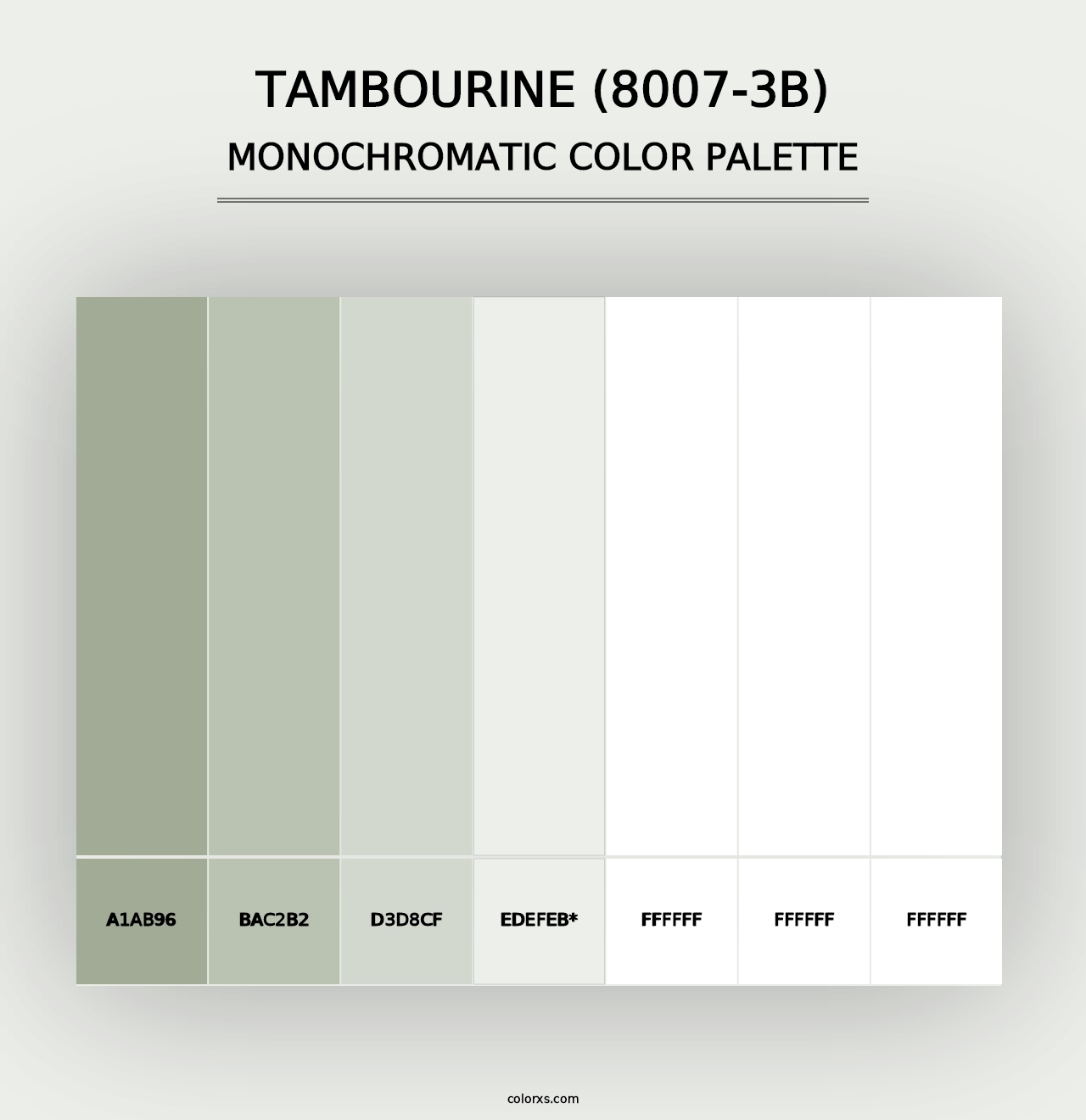 Tambourine (8007-3B) - Monochromatic Color Palette