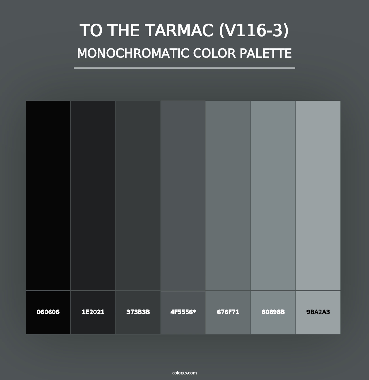 To the Tarmac (V116-3) - Monochromatic Color Palette