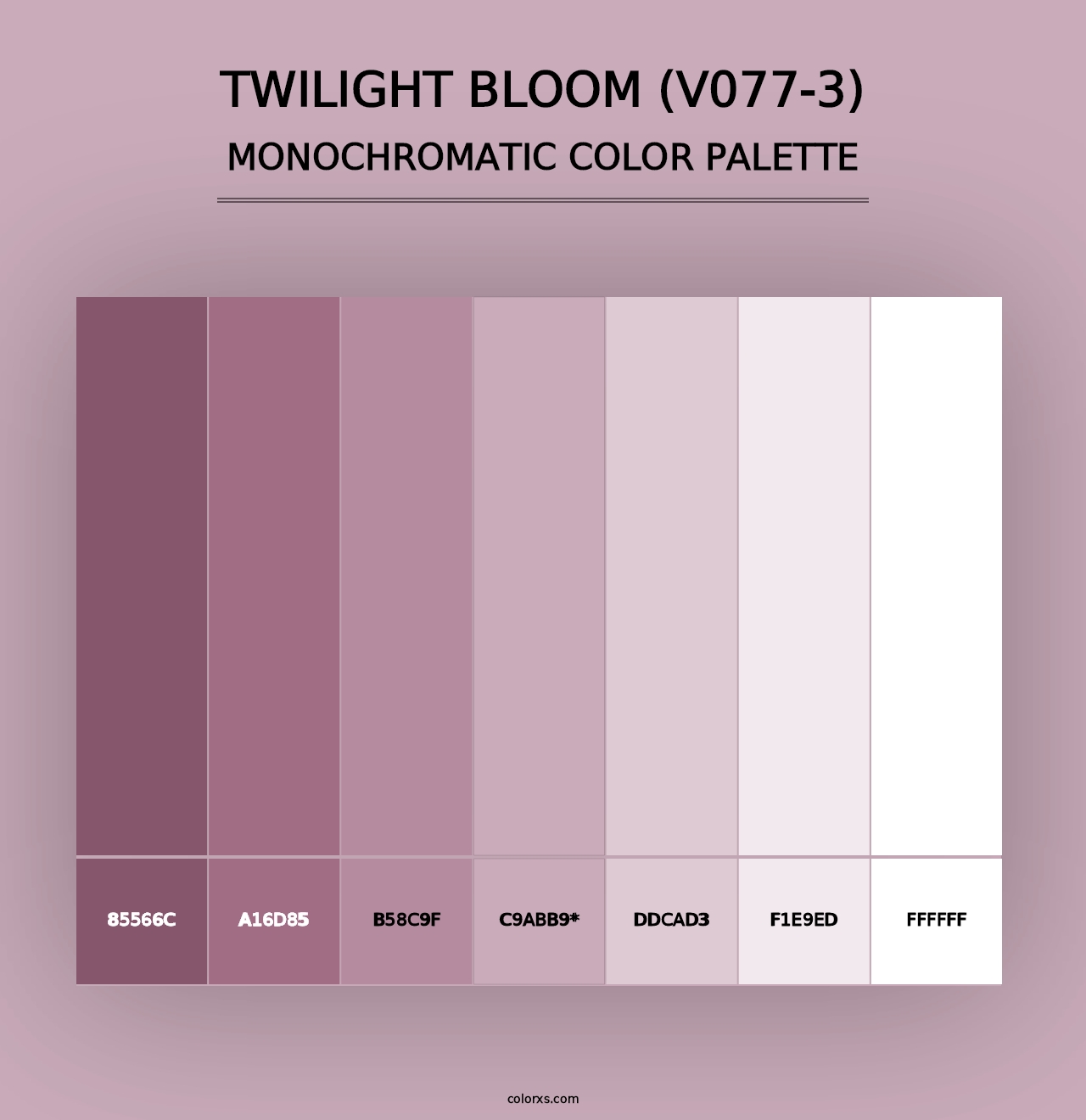 Twilight Bloom (V077-3) - Monochromatic Color Palette