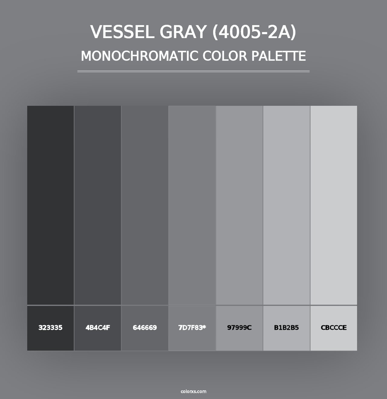 Vessel Gray (4005-2A) - Monochromatic Color Palette