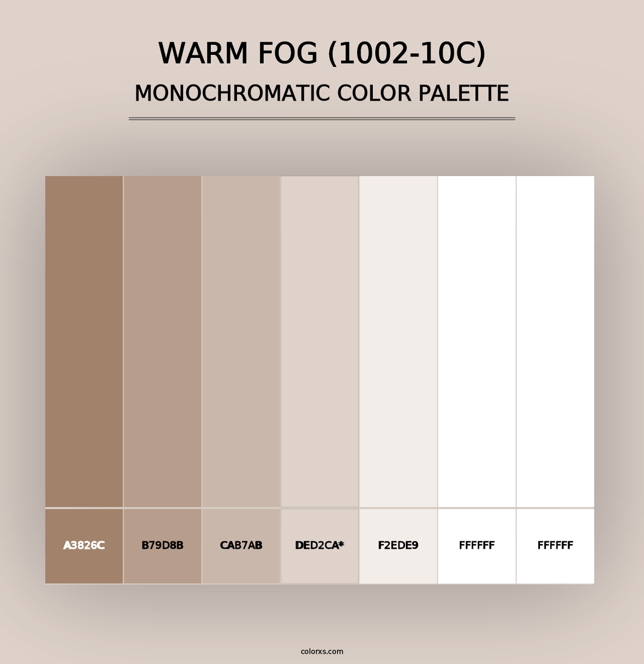 Warm Fog (1002-10C) - Monochromatic Color Palette