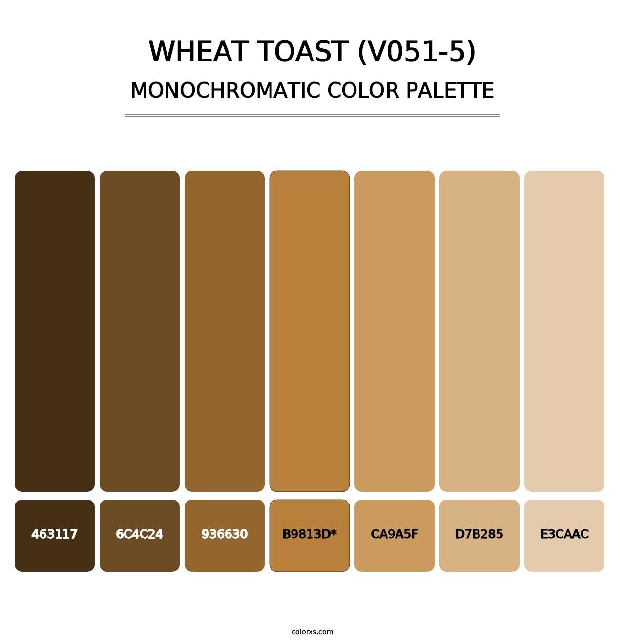 Wheat Toast (V051-5) - Monochromatic Color Palette