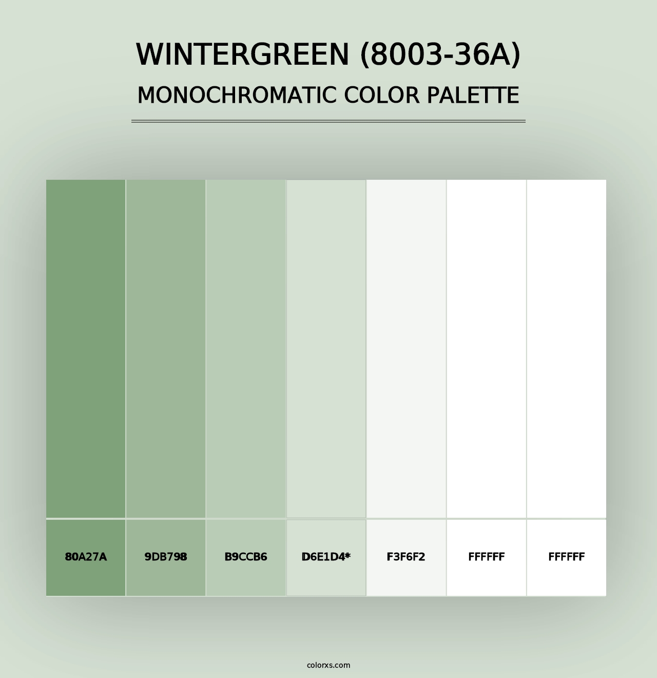 Wintergreen (8003-36A) - Monochromatic Color Palette