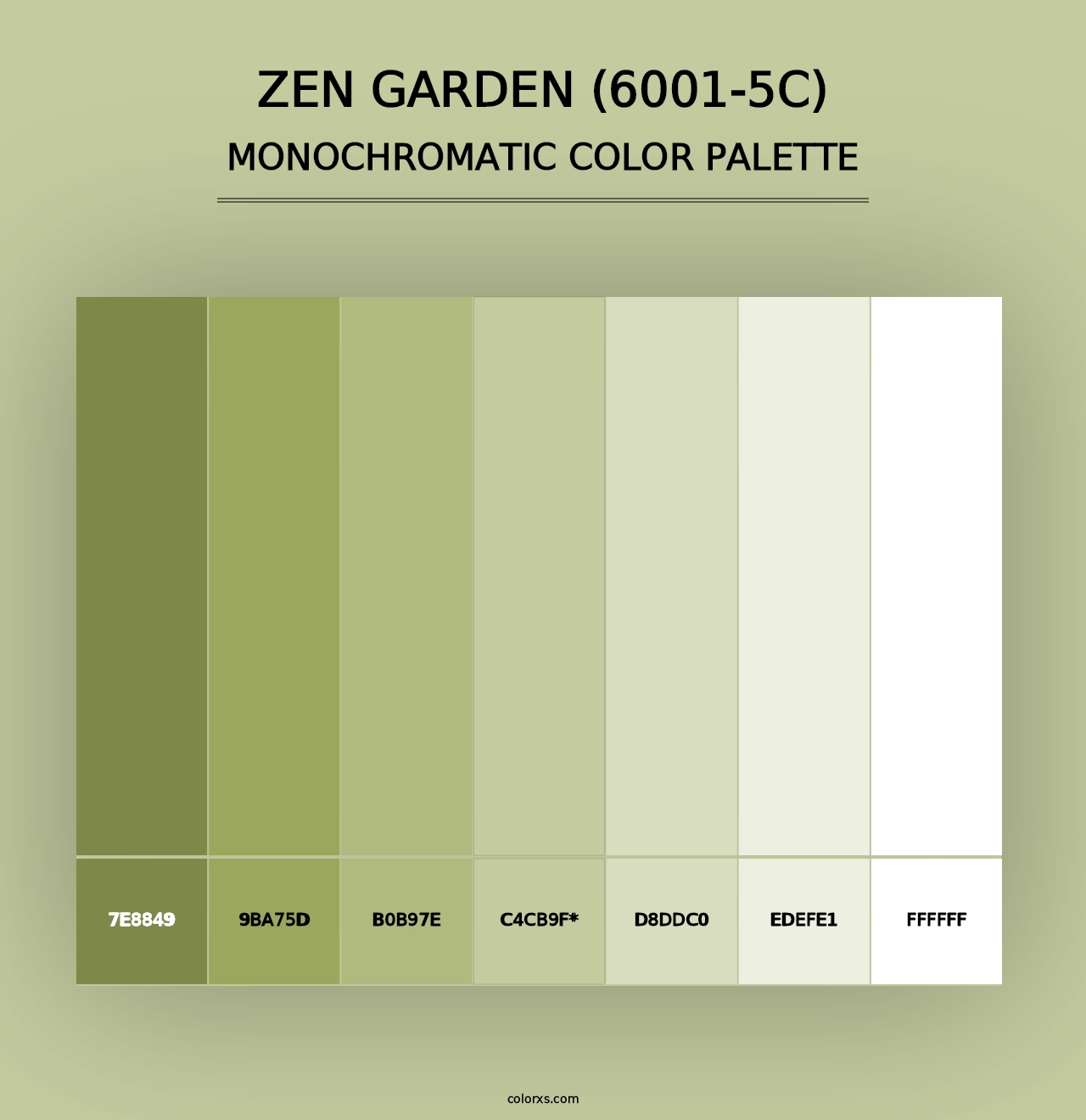 Zen Garden (6001-5C) - Monochromatic Color Palette