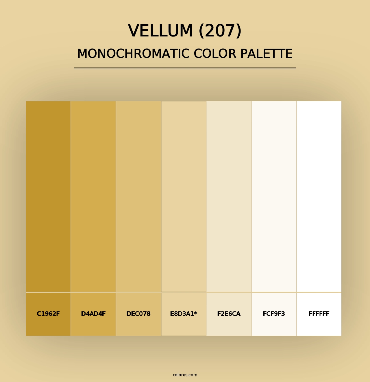 Vellum (207) - Monochromatic Color Palette