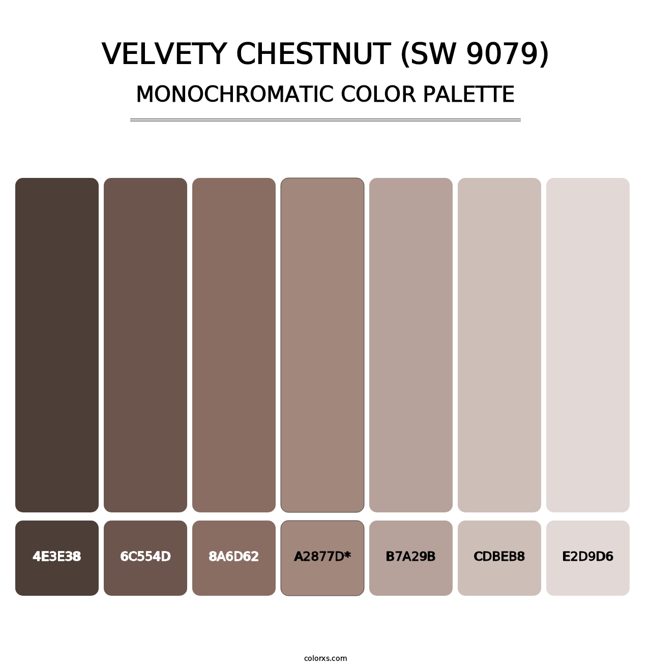 Velvety Chestnut (SW 9079) - Monochromatic Color Palette