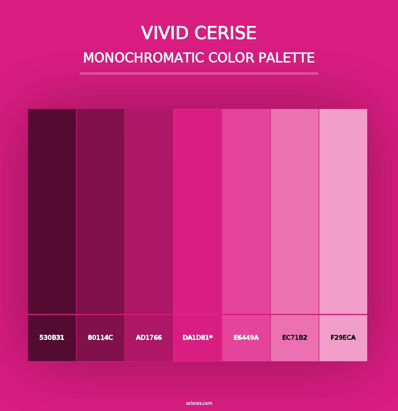 Vivid Cerise - Monochromatic Color Palette