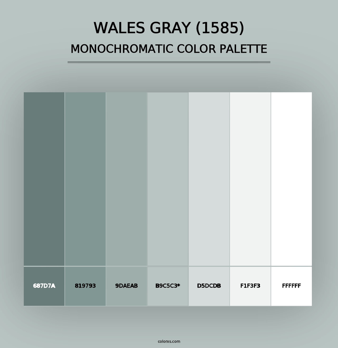 Wales Gray (1585) - Monochromatic Color Palette