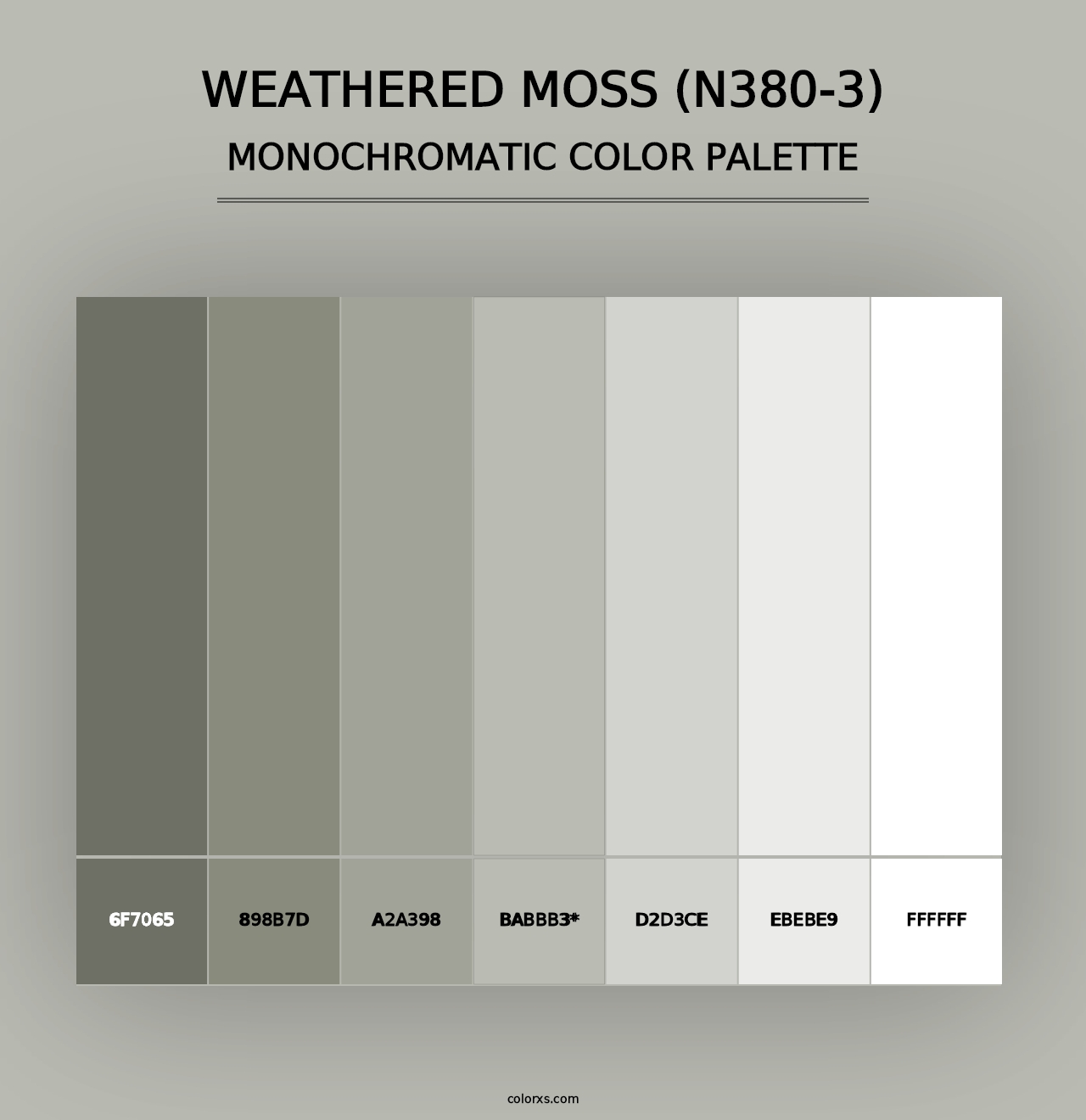 Weathered Moss (N380-3) - Monochromatic Color Palette