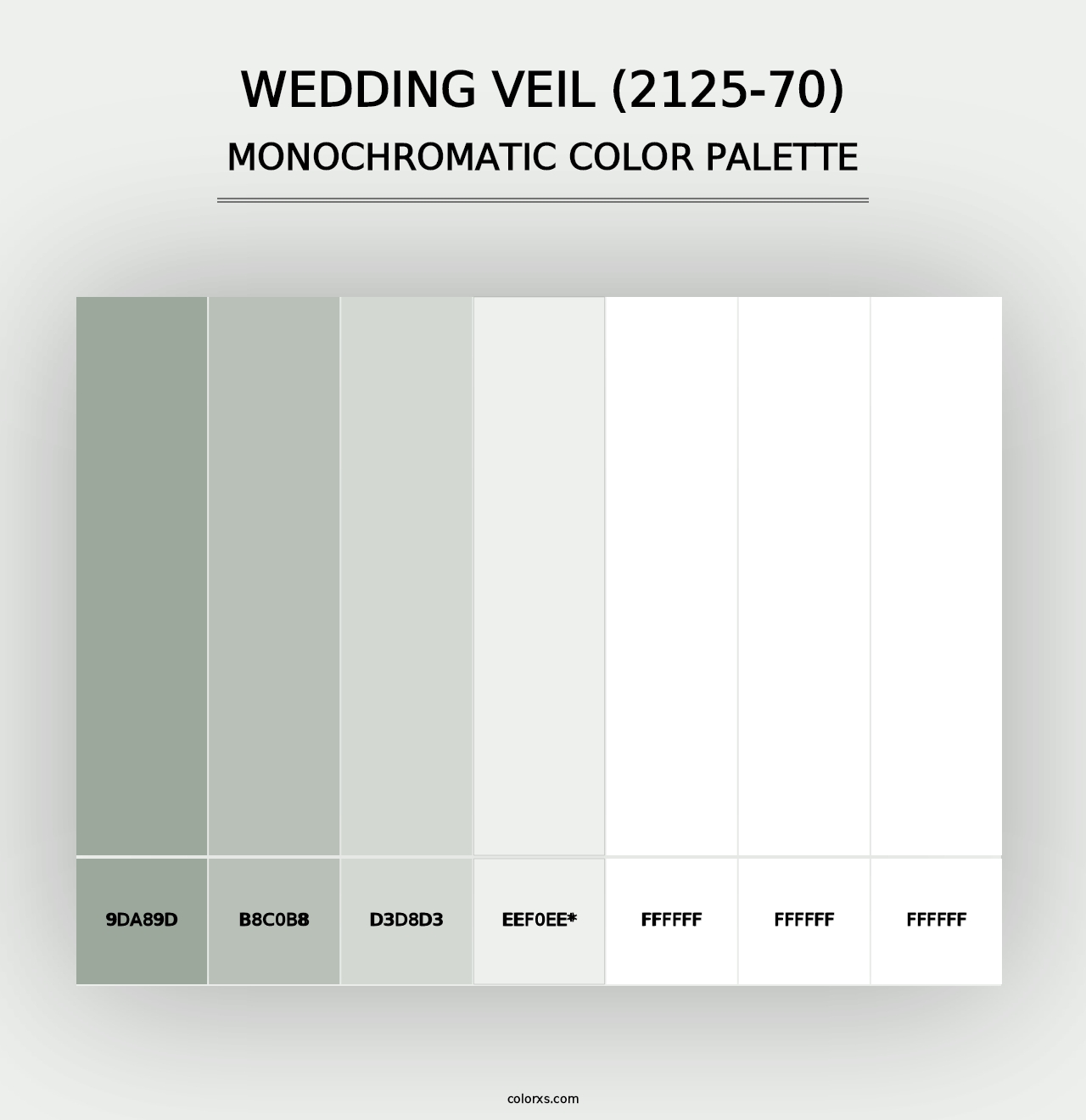 Wedding Veil (2125-70) - Monochromatic Color Palette