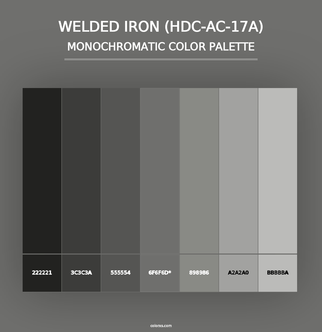 Welded Iron (HDC-AC-17A) - Monochromatic Color Palette