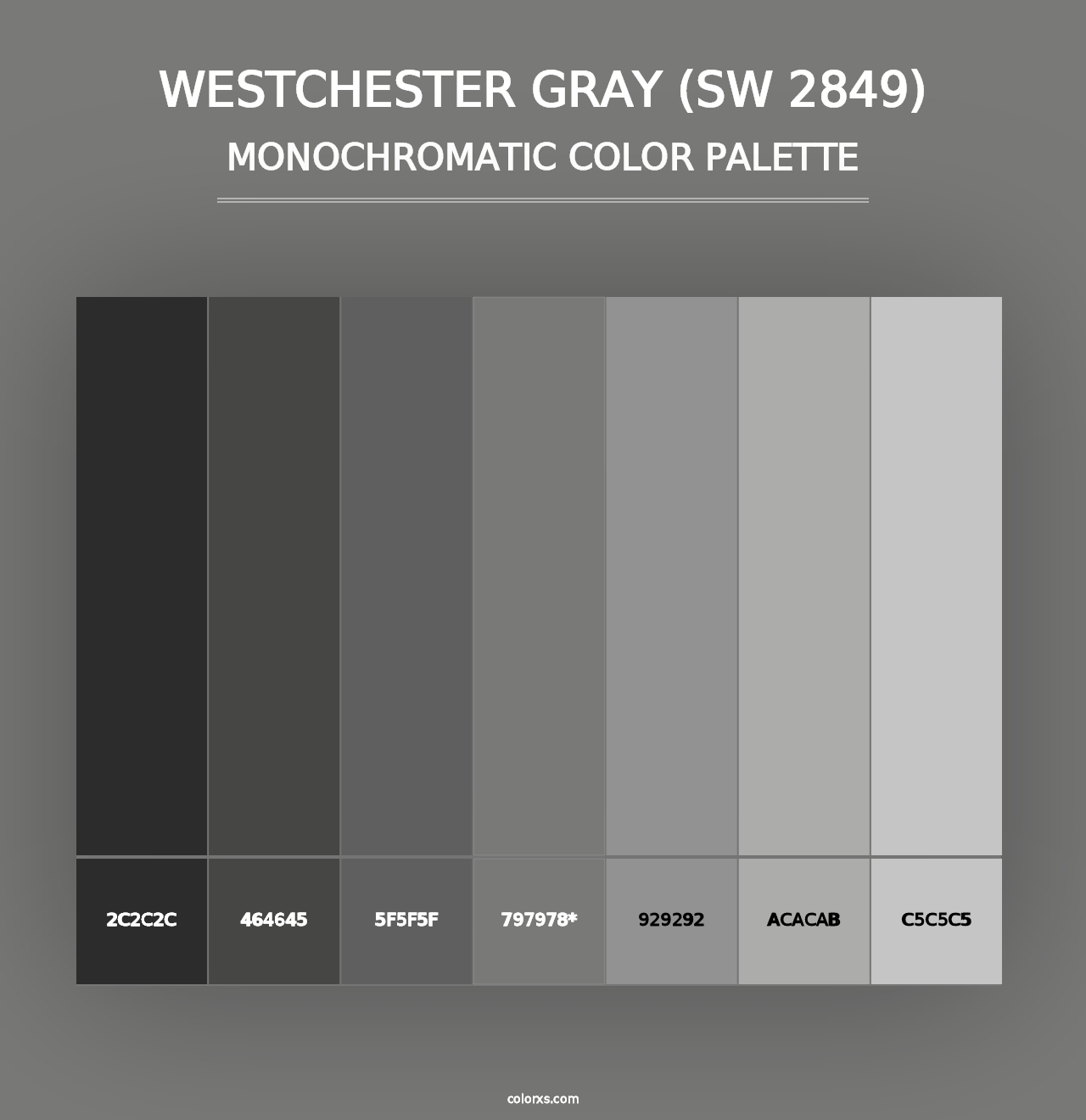 Westchester Gray (SW 2849) - Monochromatic Color Palette