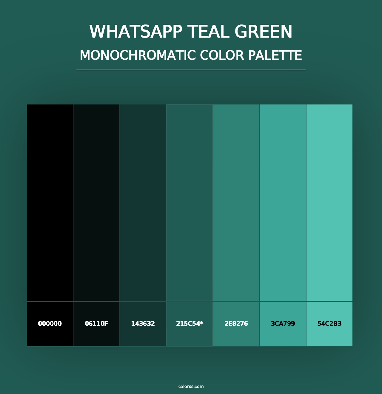 WhatsApp Teal Green - Monochromatic Color Palette