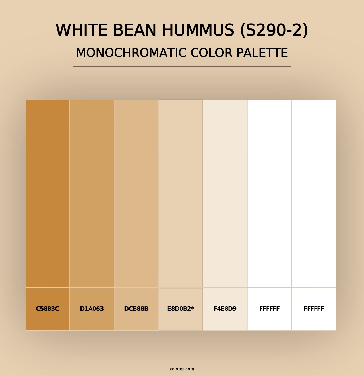 White Bean Hummus (S290-2) - Monochromatic Color Palette