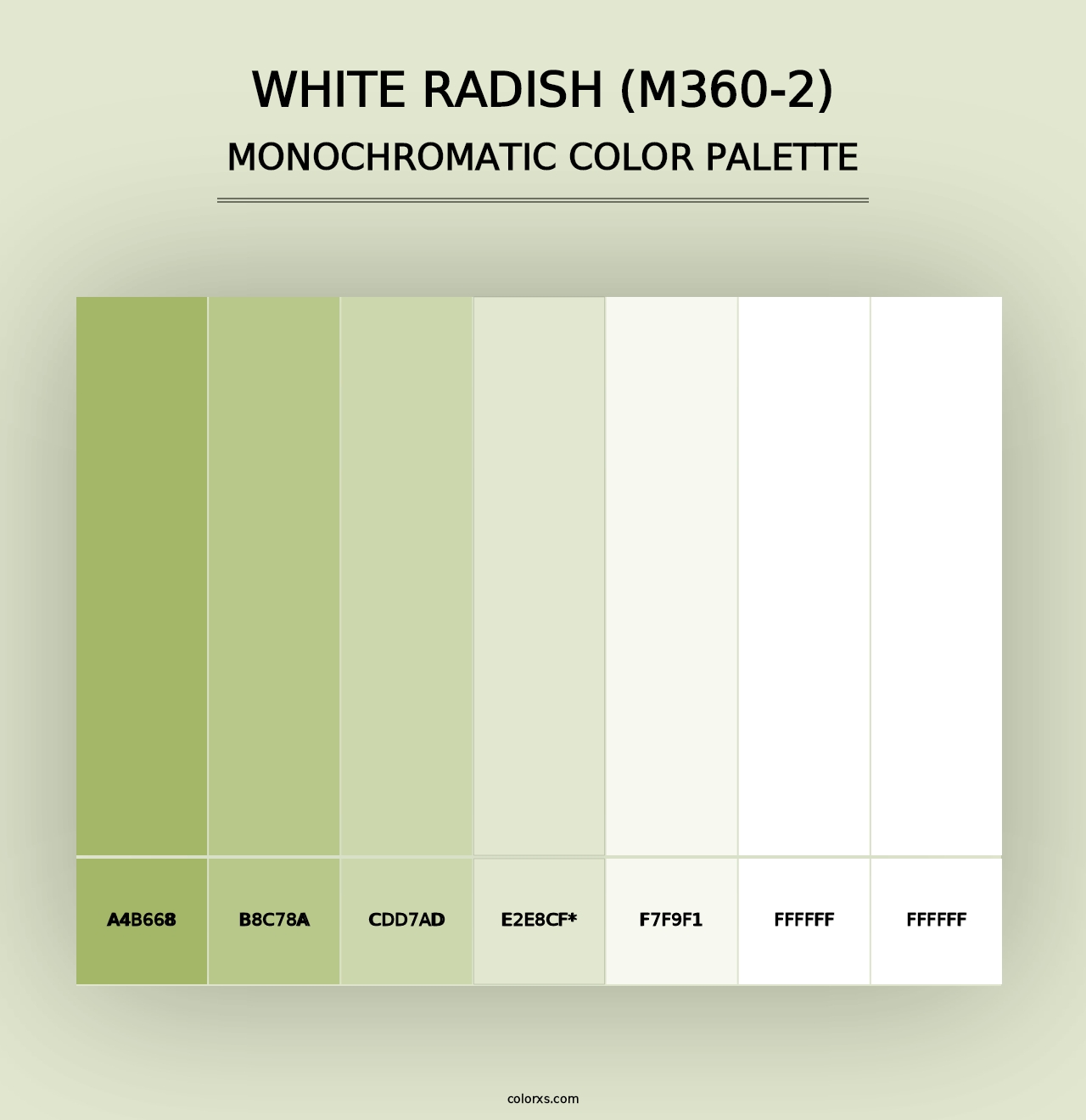 White Radish (M360-2) - Monochromatic Color Palette