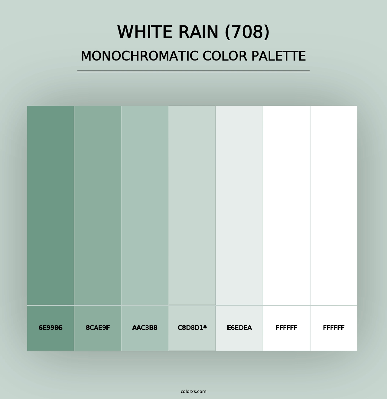 White Rain (708) - Monochromatic Color Palette