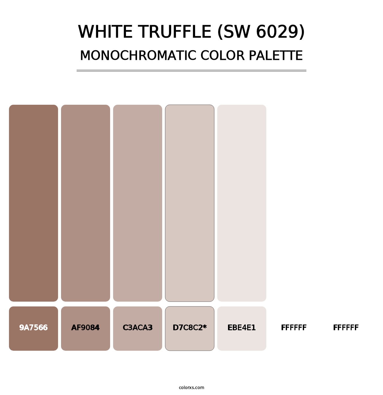 White Truffle (SW 6029) - Monochromatic Color Palette