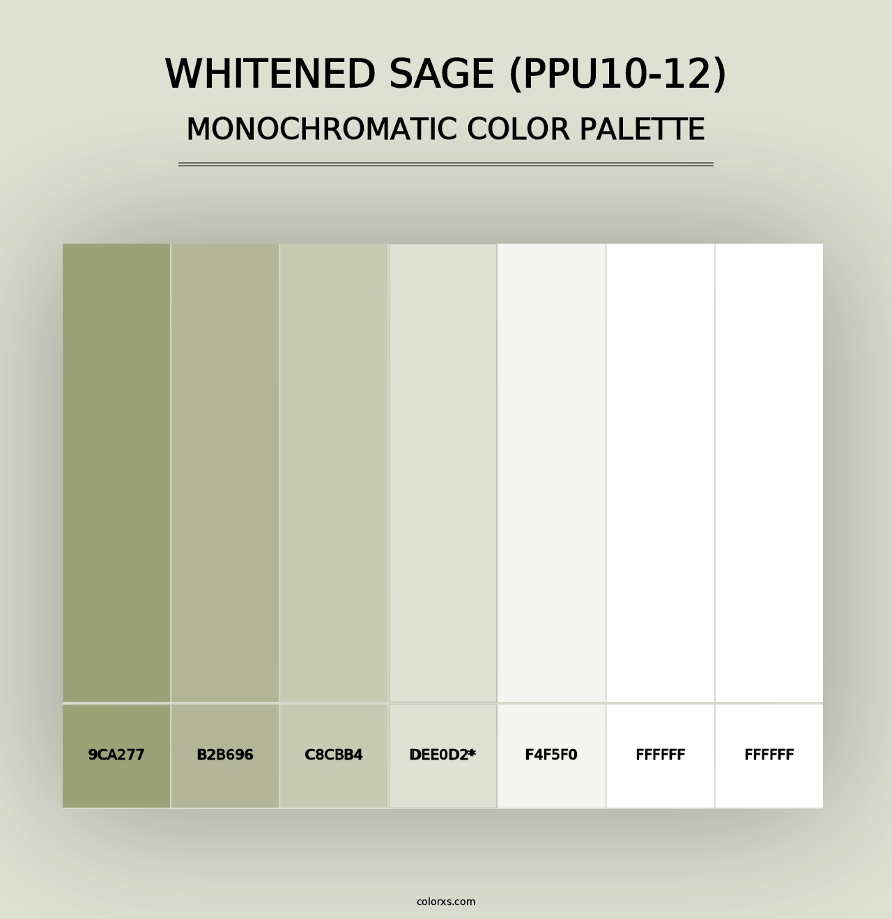 Whitened Sage (PPU10-12) - Monochromatic Color Palette