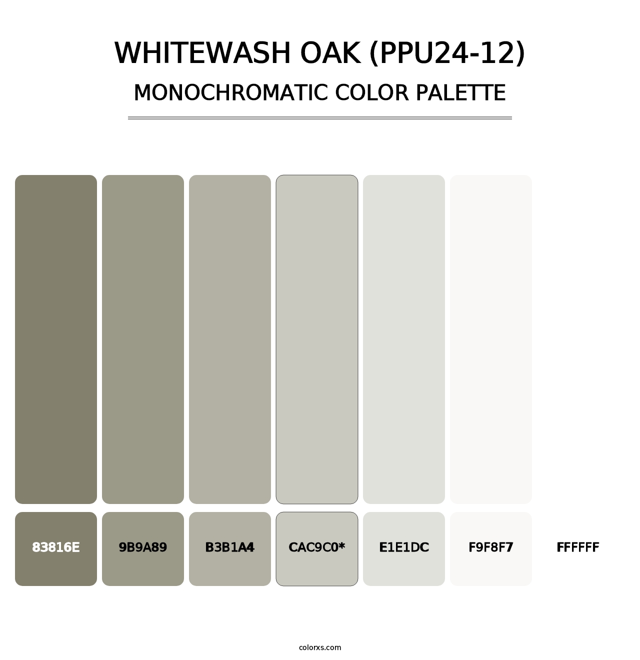 Whitewash Oak (PPU24-12) - Monochromatic Color Palette