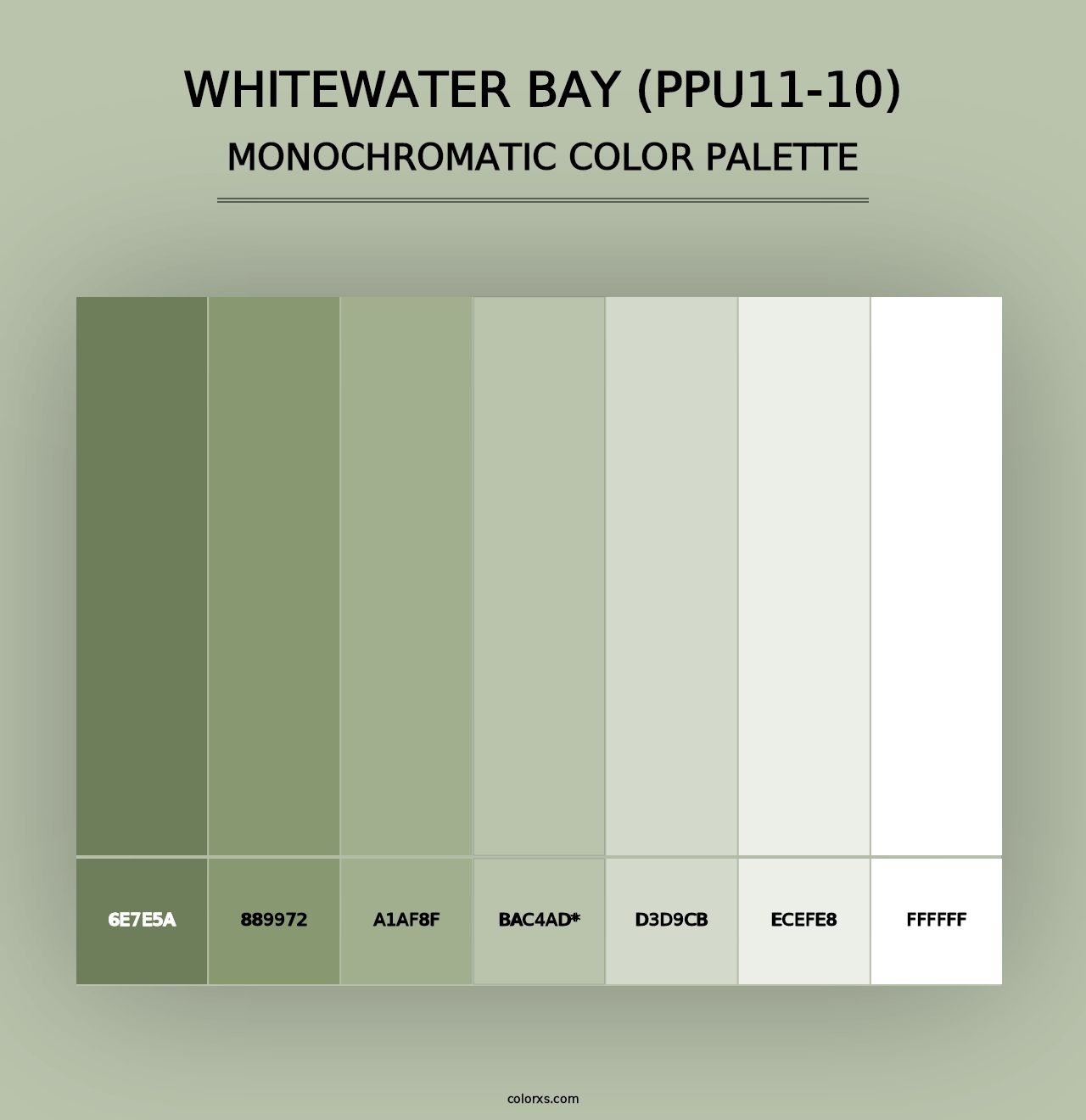 Whitewater Bay (PPU11-10) - Monochromatic Color Palette