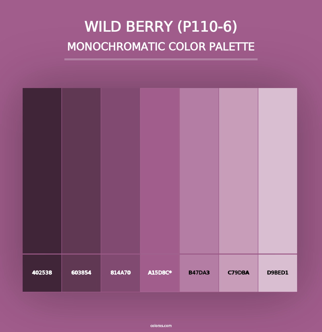 Wild Berry (P110-6) - Monochromatic Color Palette