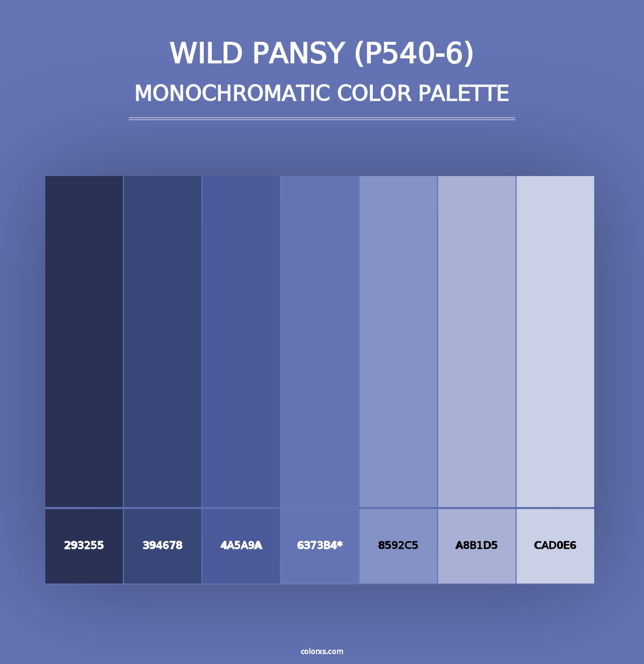 Wild Pansy (P540-6) - Monochromatic Color Palette