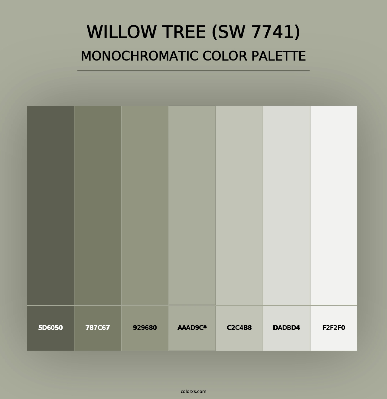 Willow Tree (SW 7741) - Monochromatic Color Palette