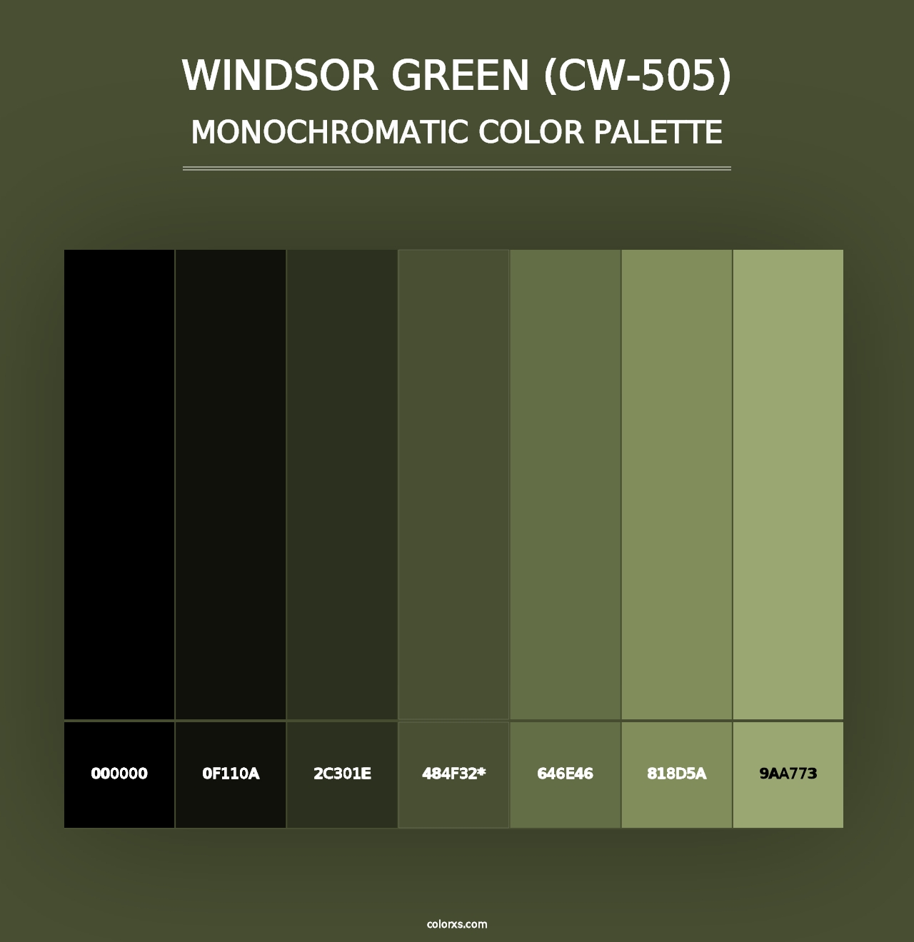 Windsor Green (CW-505) - Monochromatic Color Palette