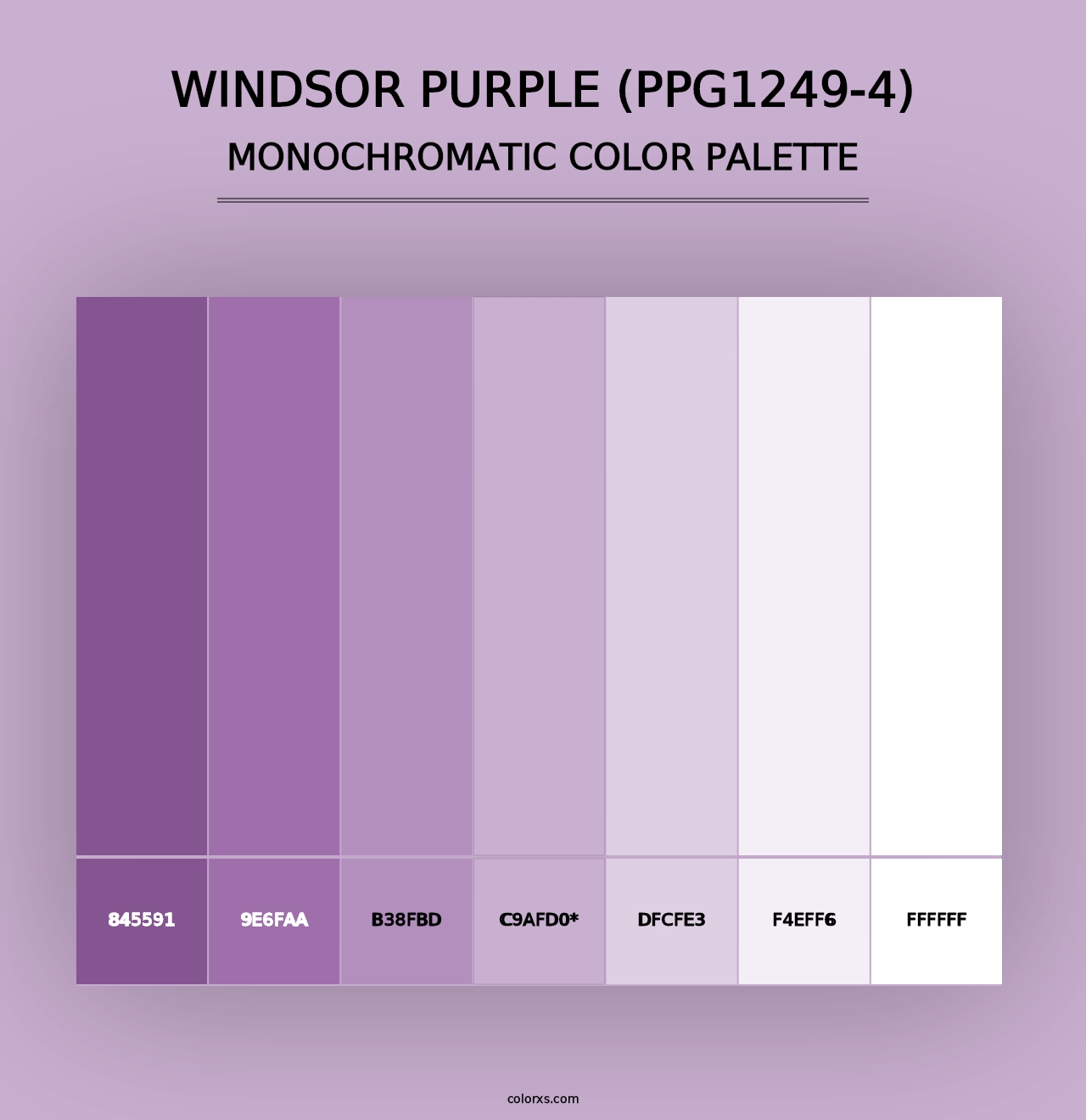 Windsor Purple (PPG1249-4) - Monochromatic Color Palette