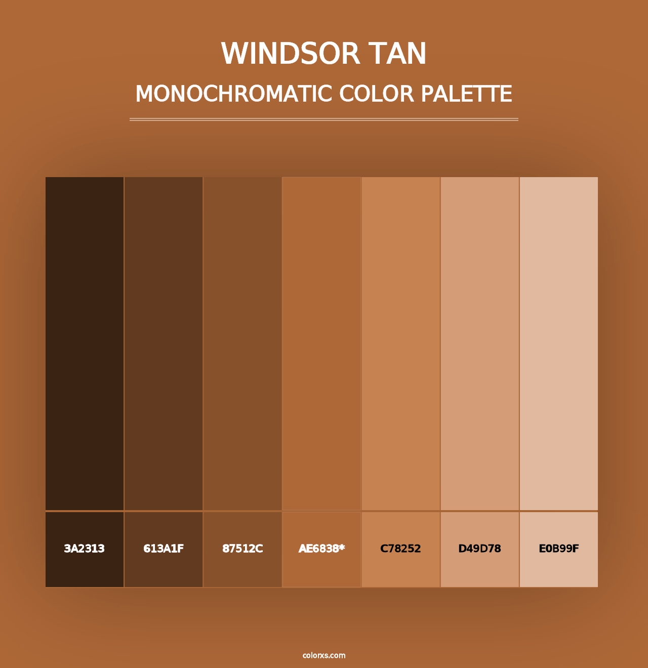 Windsor Tan - Monochromatic Color Palette