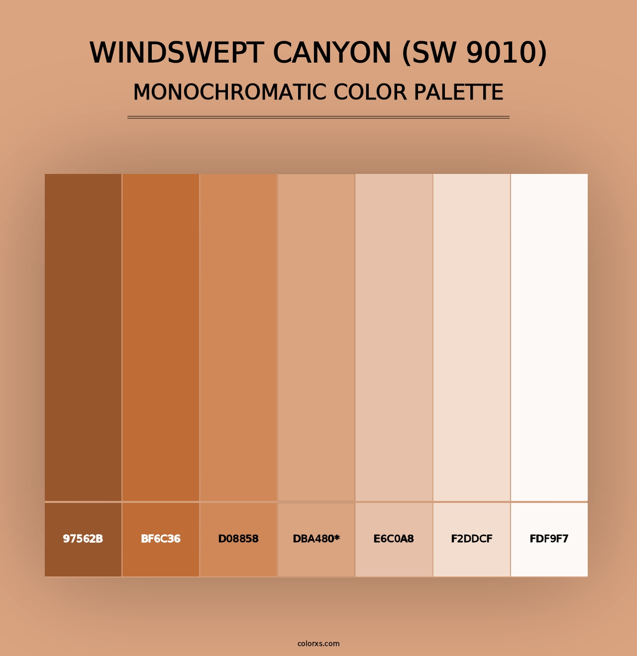 Windswept Canyon (SW 9010) - Monochromatic Color Palette