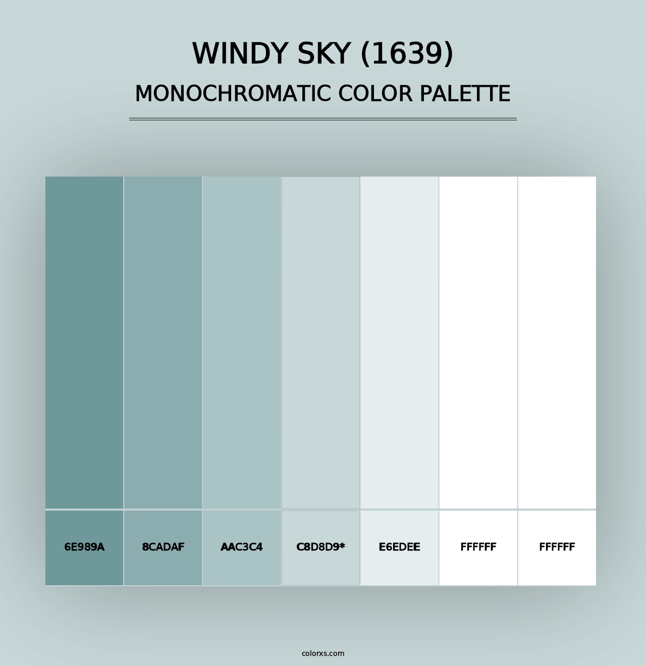 Windy Sky (1639) - Monochromatic Color Palette