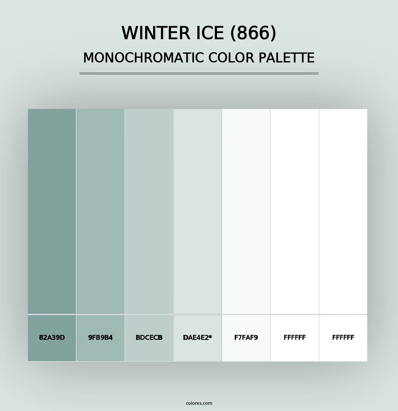 Winter Ice (866) - Monochromatic Color Palette