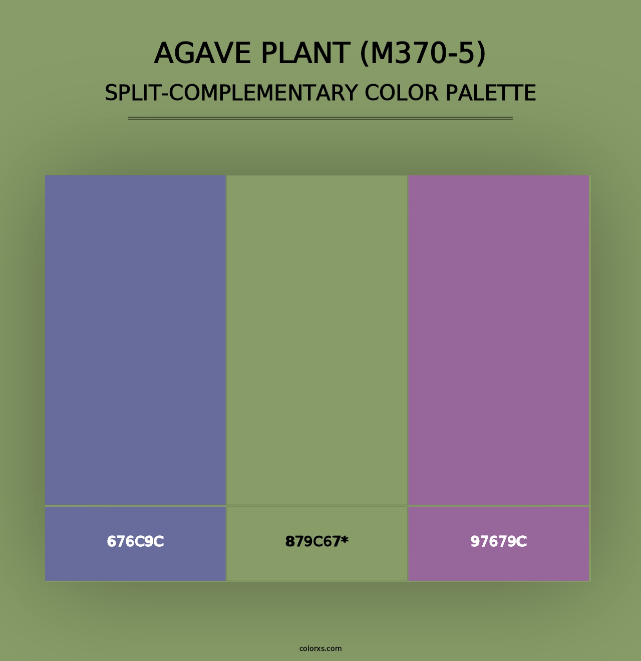 Agave Plant (M370-5) - Split-Complementary Color Palette