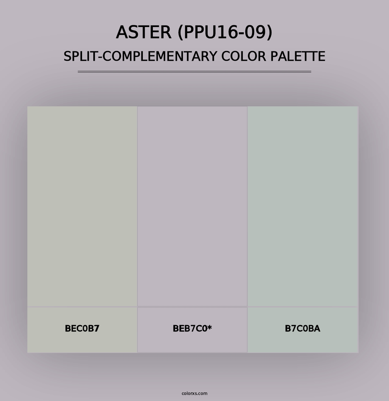 Aster (PPU16-09) - Split-Complementary Color Palette