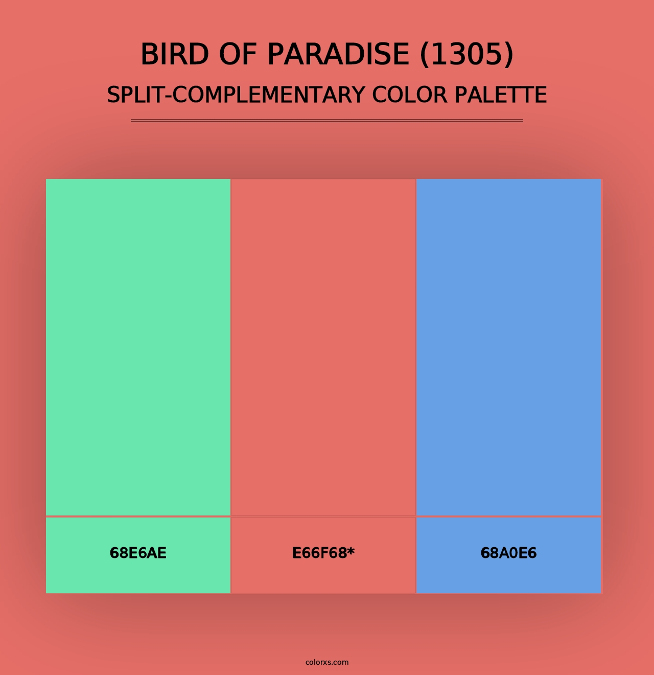 Bird of Paradise (1305) - Split-Complementary Color Palette