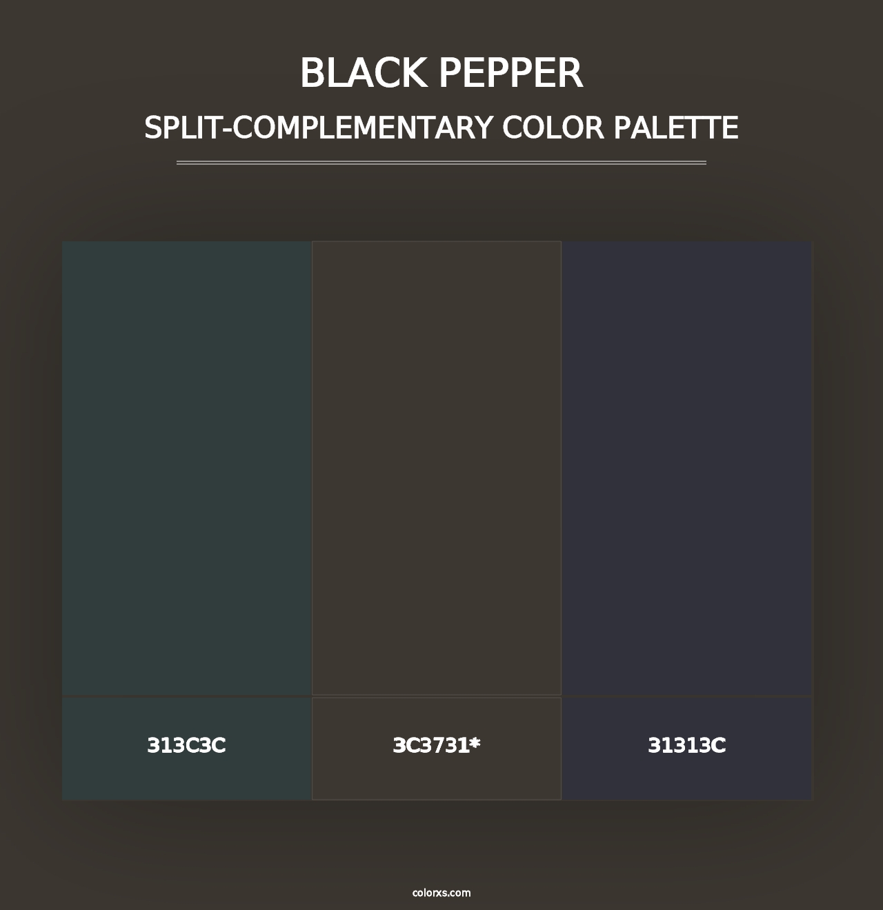 Black Pepper - Split-Complementary Color Palette