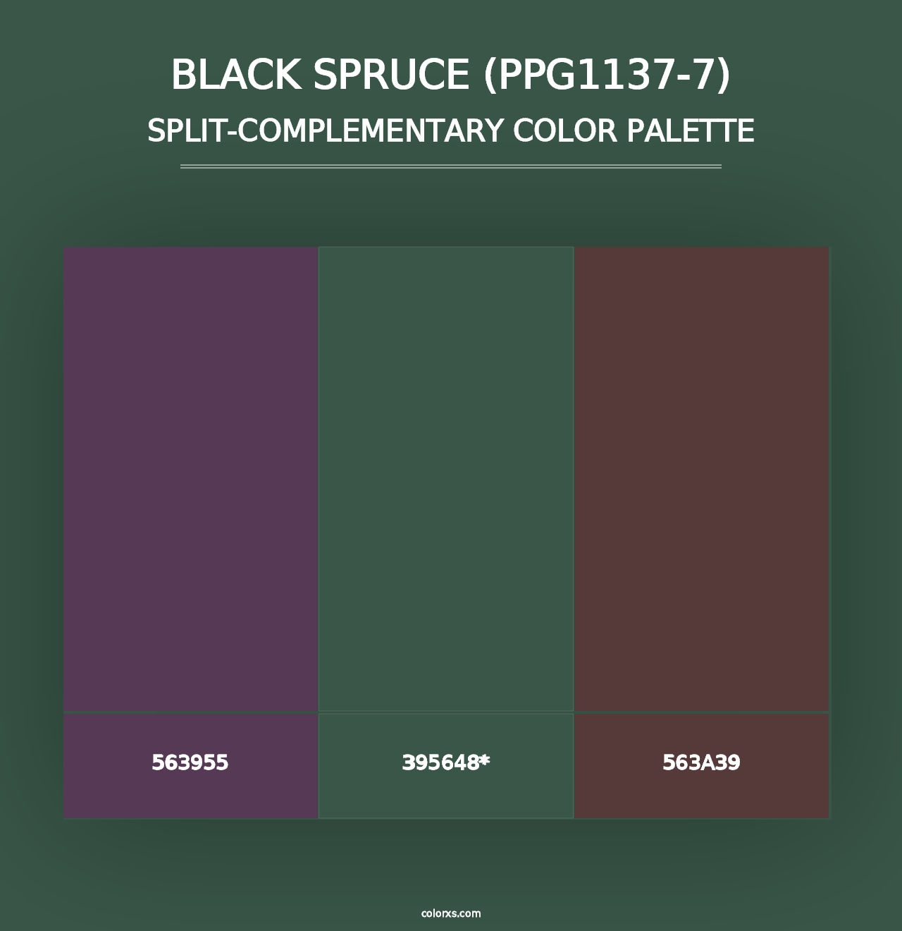 Black Spruce (PPG1137-7) - Split-Complementary Color Palette