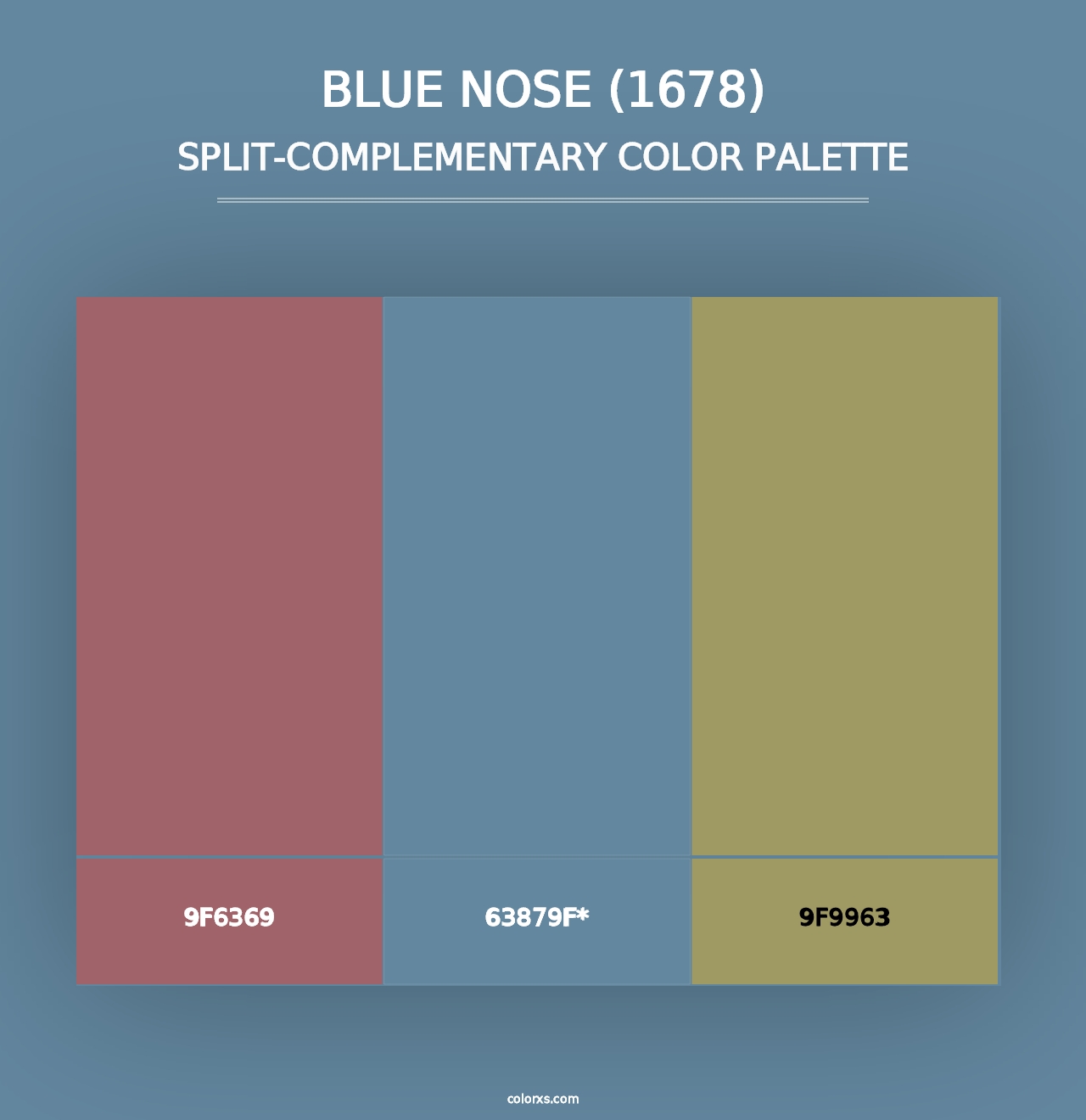 Blue Nose (1678) - Split-Complementary Color Palette