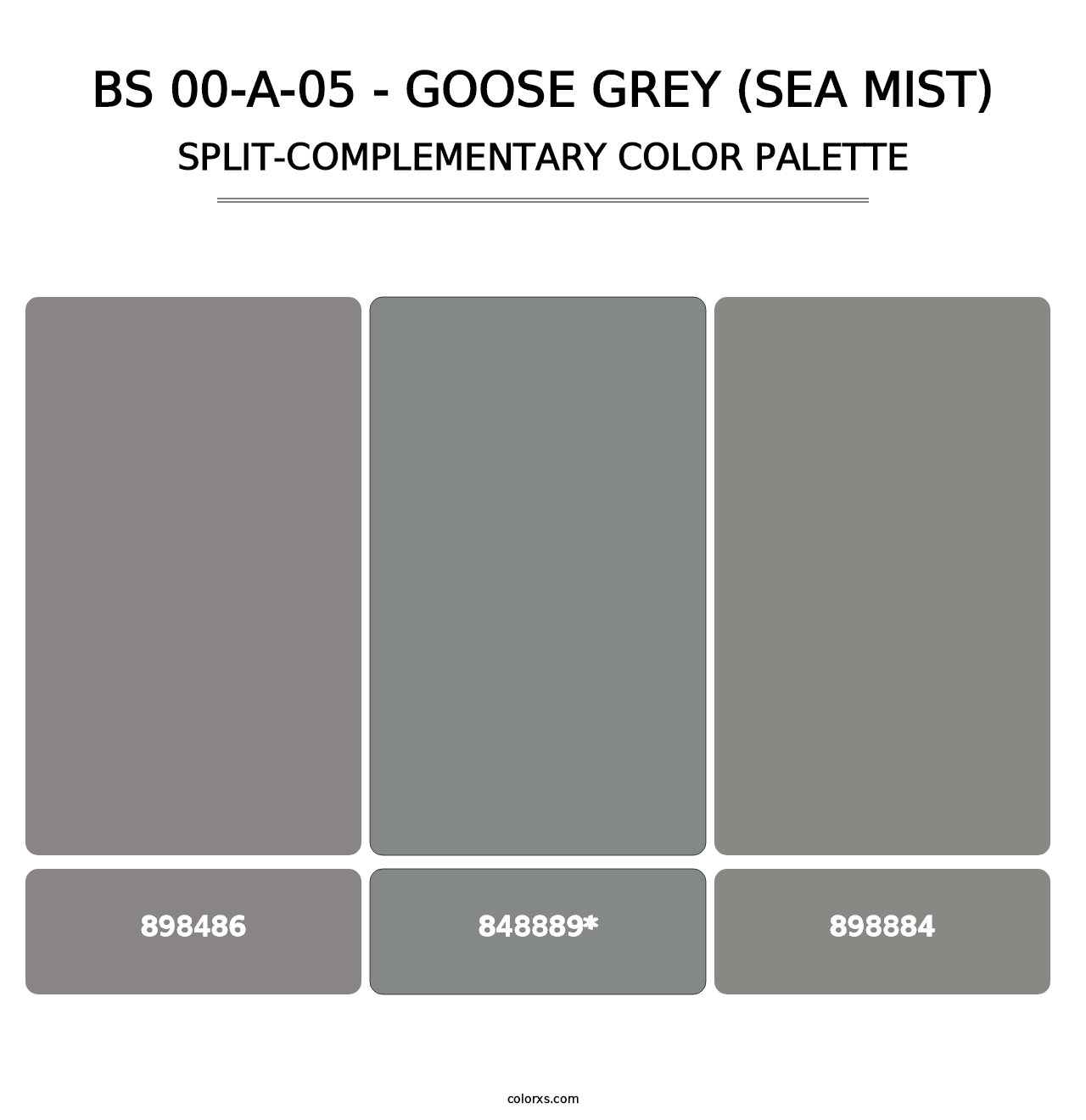 BS 00-A-05 - Goose Grey (Sea Mist) - Split-Complementary Color Palette