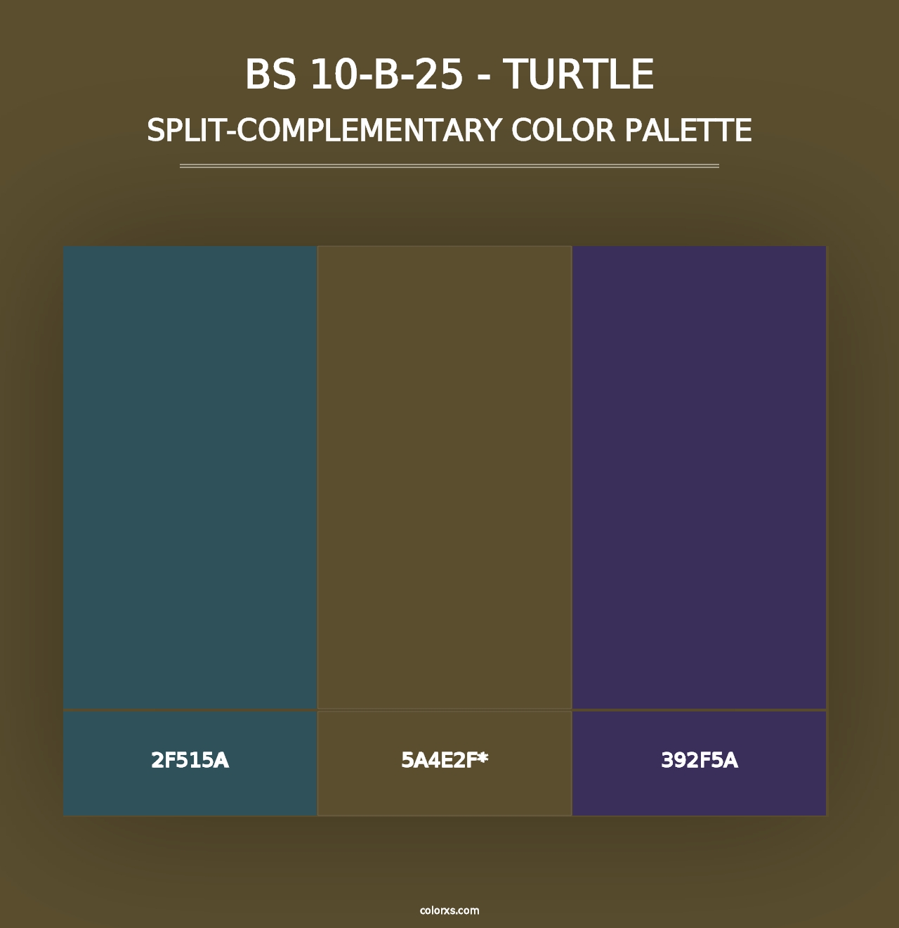 BS 10-B-25 - Turtle - Split-Complementary Color Palette