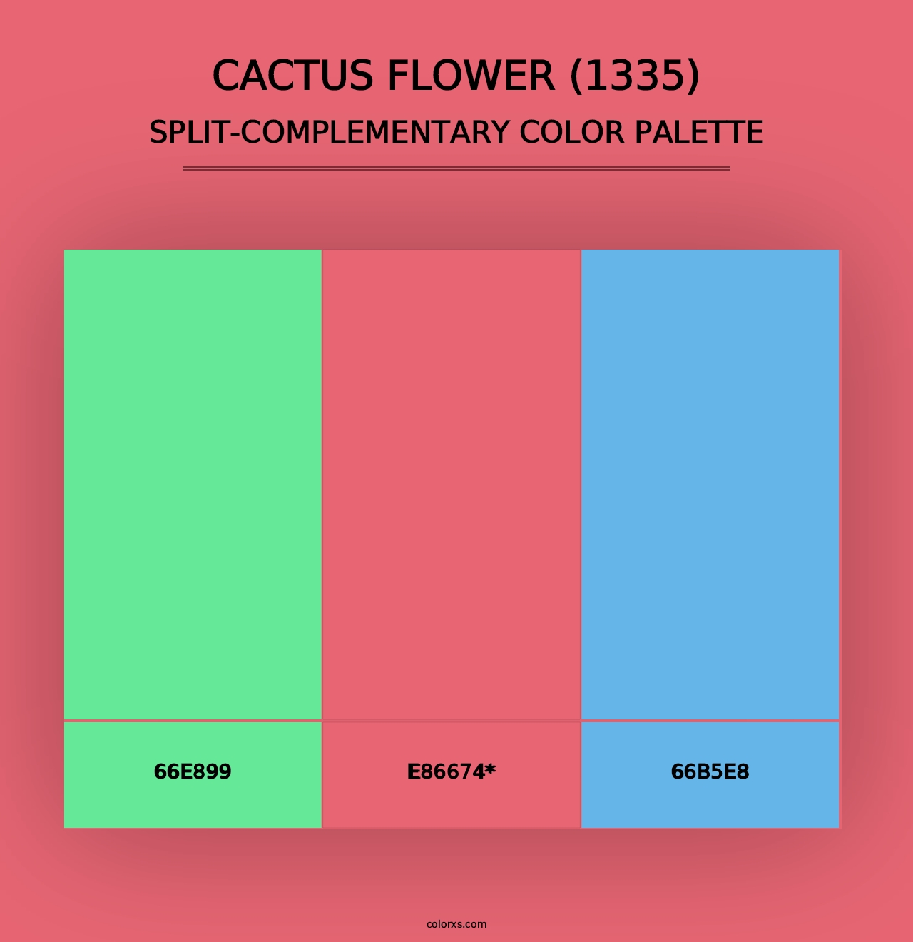 Cactus Flower (1335) - Split-Complementary Color Palette