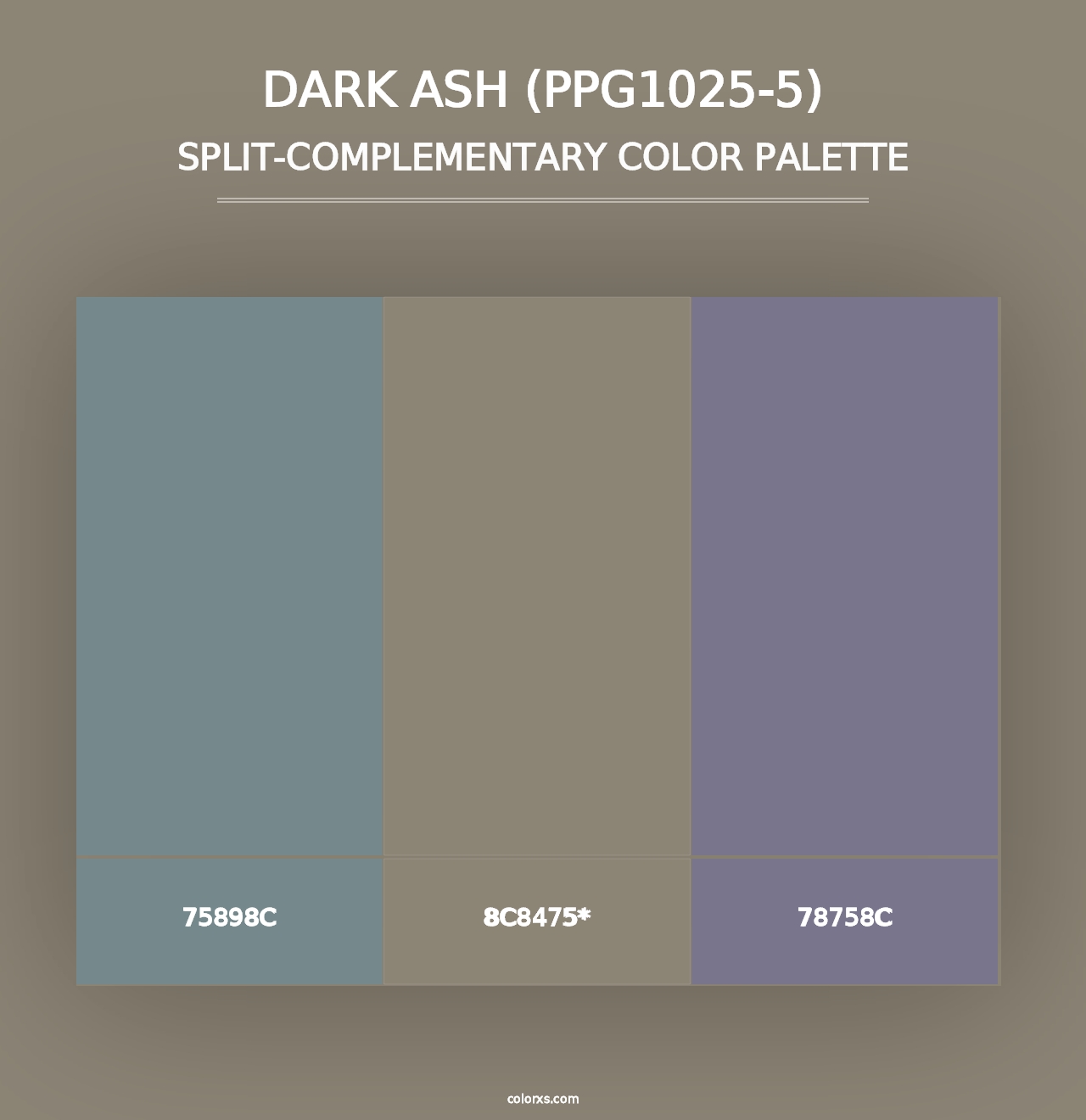 Dark Ash (PPG1025-5) - Split-Complementary Color Palette